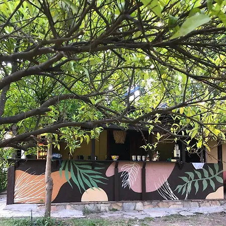 Pinea * Kemer
